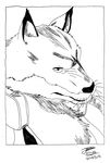  anthro bleach canine male mammal maxime-jeanne sajin_komamura shinigami wolf 