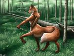  arrow bow bow_(weapon) brown_eyes canine flower forest forrest fox foxtaur grass hair log long_hair long_tail looking_back male mammal nude outside quiver raised_paw ranged_weapon realistic rocks shiny solo taur taurin_fox tod traditional_media tree weapon wood 