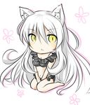  animal_ears black_hanekawa bra cat_ears chibi hanekawa_tsubasa long_hair monogatari_(series) panties shichimi_(sianekolove) solo underwear white_hair yellow_eyes 