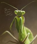  english_text feral green_eyes green_skin insect looking_at_viewer mantis nude photorealism rotarr signature text 