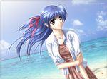  beach blue_hair brown_eyes day dutch_angle jewelry long_hair md5_mismatch necklace original ponytail r's_wallpaper_studio solo wallpaper 