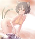  :&lt; animal_ears bad_id bad_pixiv_id bikini brown_hair cat_ears cat_tail chen multiple_tails red_eyes short_hair solo swimsuit tail touhou tuwako 