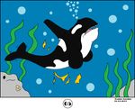  comic feral human male mammal marine maxime-jeanne orca transformation whale 