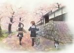  bicycle black_hair brown_eyes brown_hair cat cherry_blossoms from_behind ground_vehicle looking_back multiple_girls open_mouth original running school_uniform serafuku short_hair skirt smile taka_(tsmix) thighhighs tree 