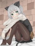  animal_ears bad_id bad_pixiv_id black_legwear blush brick_wall cat_ears cat_tail dust_box feet green_eyes grey_hair panties panties_under_pantyhose pantyhose sanya_v_litvyak sitting skirt solo strike_witches tail underwear world_witches_series 