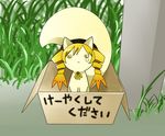  animalization beret blonde_hair box cardboard_box drill_hair fusion grass hat in_box in_container kyubey mahou_shoujo_madoka_magica no_humans solo tears tomoe_mami twin_drills twintails yellow_eyes zuttokodomo 