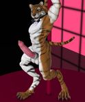  3d abs anthro balls barbs biceps big_penis black_fur body_markings bow_tie chi claws erection fangs feline fur looking_at_viewer male mammal markings muscles nipples nude orange_fur pecs penis pole pose sheath solo standing stripes tapiko tiger toe_claws vein white_fur yellow_eyes 