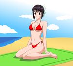  beach bikini black_hair bleach breasts hair_bun hinamori_momo swimsuit vogoshinki 