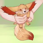  2013 adiago canine fennec fennekin feral fox human nintendo pok&eacute;mon video_games 