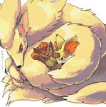  fennekin fox ninetales pokemon vulpix 