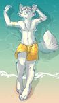  aycee beach biceps canine chest_tuft clothed clothing eyes_closed fluffy_tail fur grey_fur grey_hair grey_nose hair half-dressed hockeywolf male mammal muscles pecs seaside solo swimsuit topless tuft water wet white_fur wolf 