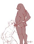  anthro bear canine chris chris_(meesh) chubby dennis_(meesh) dog duo erection eyewear fellatio gay glasses kneeling male mammal meesh nude oral oral_sex penis plain_background sex standing towel unfinished white_background 