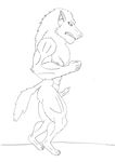  2013 anthro canine human male maxime-jeanne muscles transformation wolf 
