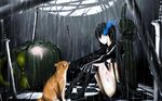  animal black_rock_shooter blush cat kuroi_mato rain sword weapon wet 