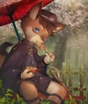  2018 4_fingers anthro blue_eyes canine claws clothed clothing cub eating fangs hat kemono looking_at_viewer male mammal outside sarusa1 sitting tree weapon young 