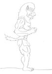  2013 anthro canine human male maxime-jeanne muscles transformation wolf 
