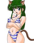  animal_ears bikini cat_ears hyper_police sasahara_natsuki_(hyper_police) solo swimsuit tzoli 