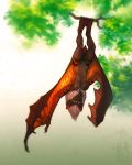  anthro breasts chiropteran day female green_eyes hair hanging_by_feet hanmonster leaf mammal membranous_wings navel neck_tuft nipple_piercing nipples nude outside piercing prehensile_feet pteropodid pussy solo tree_branch tuft upside_down whiskers white_hair wings 