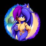  beach big_breasts bikini breasts clothed clothing fan_character female hedgehog looking_at_viewer mammal marthedog nipples one_eye_closed original_character pose seaside sega skimpy smile solo sonic_(series) swimsuit tight_clothing wink 