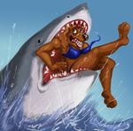  anthro bikini blood brown_eyes canine clothing female feral fish gore great_white_shark mammal marine shark swimsuit teeth tight_clothing van-weasel vorarephilia vore water 