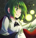  antennae bad_id bad_pixiv_id blush bug cape chikamichi_(ssssgirl) firefly green_eyes green_hair insect night short_hair smile touhou tree wriggle_nightbug 