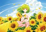  alternate_costume animal ascot bare_shoulders bird cloud condensation_trail day dress field floating_hair flower flower_field green_hair highres holding holding_flower kazami_yuuka leaf looking_at_viewer open_mouth outdoors parted_lips petals pink_dress plant red_eyes samizuban sky sleeveless sleeveless_dress solo sunflower touhou wind yellow_neckwear 