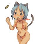  animal_ears bikini blue_eyes blue_hair cat_ears original short_hair solo swimsuit tail ushi_hashiru 