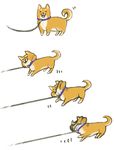  animal_focus collar comic dog dog_walking leash no_humans noja original pet pulling shiba_inu shiba_squish simple_background tail tail_wagging white_background 