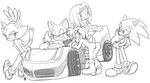  amy_rose anthro bat big_breasts blaze_the_cat breasts butt car cat cleavage feline hedgehog is monochrome nude presenting presenting_hindquarters pussy rouge_the_bat sega sonic_(series) sonic_the_hedgehog tikal_the_echidna 