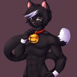  anthro bell bell_collar biceps black-kalak black_fur black_hair bottomless cat clothed clothing collar feline fur grin hair half-dressed looking_at_viewer male mammal muscles nude orange_eyes pecs plain_background pose smile solo standing teeth toned white_fur white_hair yellow_eyes 