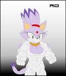  biceps blade_the_cat blaze_the_cat breasts cat claws clothing feline female flexing invalid_tag mammal muscles muscular_female sega smile solo sonic_(series) teeth torn_clothing unknown_artist 