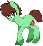  cutie_mark equine fur green_eyes green_fur hair horse luga12345 male mammal my_little_pony original_character plain_background pony sheetz solo white_background 