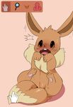  crying dagasi eevee female feral game hindpaw nintendo open_mouth paws plain_background pok&#233;mon pok&eacute;mon pussy scared solo sweat tears video_games 