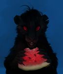  ambiguous_gender black_fur food fur mammal orphen_sirius rat rodent solo watermelon 