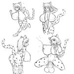  breasts cheetah cub feline female lactating mammal penis sketch thecon young 