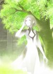  arm_up bad_id bad_pixiv_id breasts brown_hair cleavage dress ico plant raven_(ambrosia) short_hair small_breasts solo tree white_dress yorda 