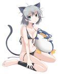  animal_ears bad_id bad_pixiv_id barefoot bikini cat_ears front-tie_top green_eyes legs rosettastone sanya_v_litvyak short_hair side-tie_bikini silver_hair solo strike_witches swimsuit tail untied world_witches_series 