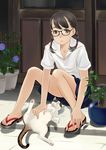  animal anus black_eyes black_hair braid cat feet flower glasses hair_over_shoulder hands hands_on_feet legs looking_at_viewer luna2 morning_glory original petting plant sandals school_uniform sitting skirt solo twin_braids 