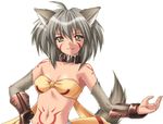  1girl fonfon ikazuchi_no_senshi_raidy lightning_warrior_raidy lowres simple_background solo tattoo werewolf 