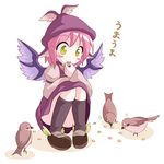  animal_ears animal_hat bird blush_stickers des eating hat mystia_lorelei pink_hair socks solo squatting touhou wings yellow_eyes 