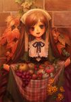  brown_hair flower food fruit heterochromia long_hair miya_(foolish_order) rozen_maiden solo suiseiseki 