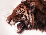  2012 ambiguous_gender blackpassion777 fangs feline open_mouth plain_background portrait roaring solo tiger whiskers 