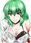  between_breasts black_bra blush bra breasts cleavage green_hair hose kazami_yuuka large_breasts off_shoulder red_eyes see-through sexually_suggestive shirt short_hair slit_pupils smile solo touhou underwear upper_body wet wet_clothes wet_shirt y2 