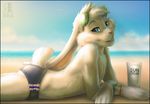  avian beach bird blue_eyes blush butt cloud cream crossed_arms eyewear fur goggles lagomorph looking_at_viewer lying male mammal on_front outside rabbit sand sea seaside side_view sky smile solo swimsuit tail_clothing topless water whiskers zen 