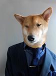  clothing cute dog feral humor jacket male mammal mensweardog photo real shiba_inu shibu_inu shirt solo suit whiskers 
