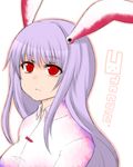  animal_ears bunny_ears long_hair purple_hair red_eyes reisen_udongein_inaba shiohachi simple_background solo touhou upper_body white_background 