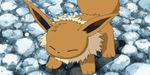  animated animated_gif eevee lowres nintendo no_humans pokemon shaking 