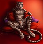  2013 dhaval feline male penis rukis tiger white 
