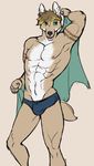  anthro biceps brown_fur brown_hair bulge canine dog ear_piercing fangs flexing fur green_eyes hair male mammal muscles nipples open_mouth pecs piercing pose ritts sketch solo speedo standing swimsuit tattoo toned topless towel underwear white_fur 