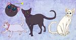  cat daughter diana father feline female feral group luna luna_(sailor_moon) male mammal mother parent plain_background sailor_moon soulspoison white_background 